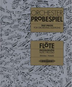 Orchester Probespiel Flute